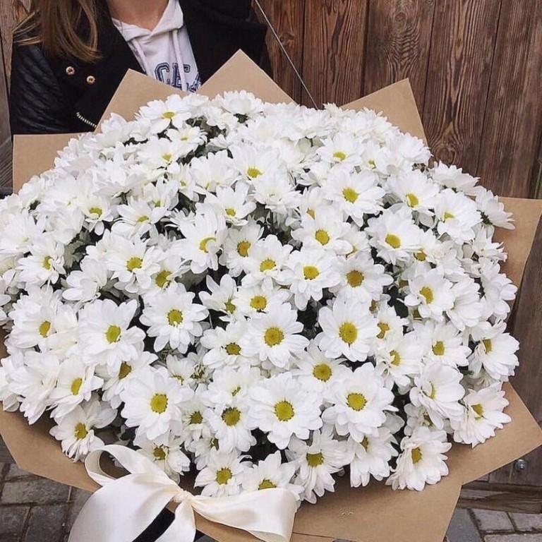 Акция НА Кустовую Хризантему😃❤🥰💐. Букет из 7 кустовых хризантем стоит всего 420 руб — ТЦ «Добрыня», Петрозаводск