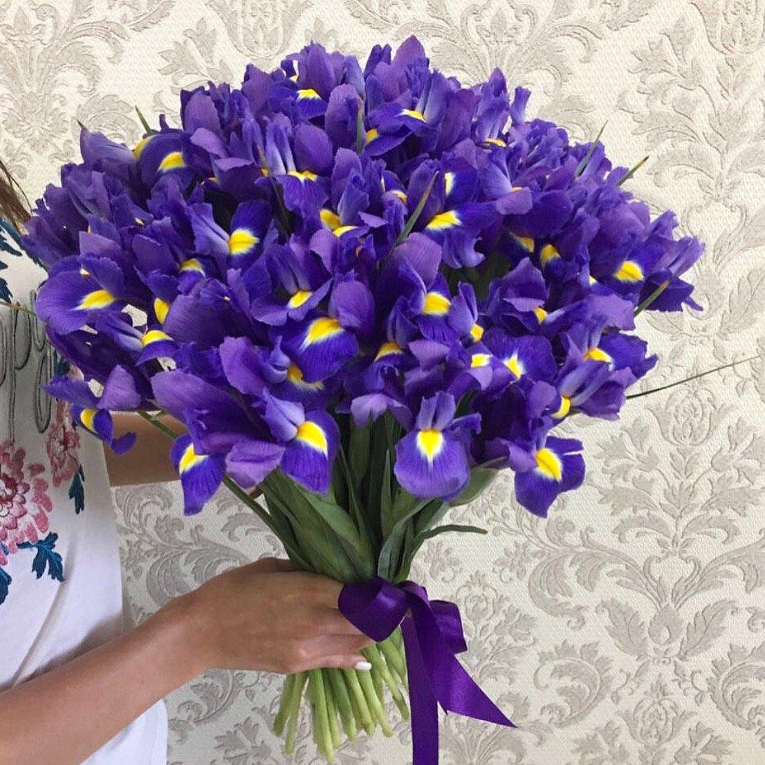 Букет из 51 ириса всего 1390 руб.🔥🥰👍🏻. Для самых любимых💕. Чтобы сделать приятно близкому… — ТЦ «Добрыня», Петрозаводск