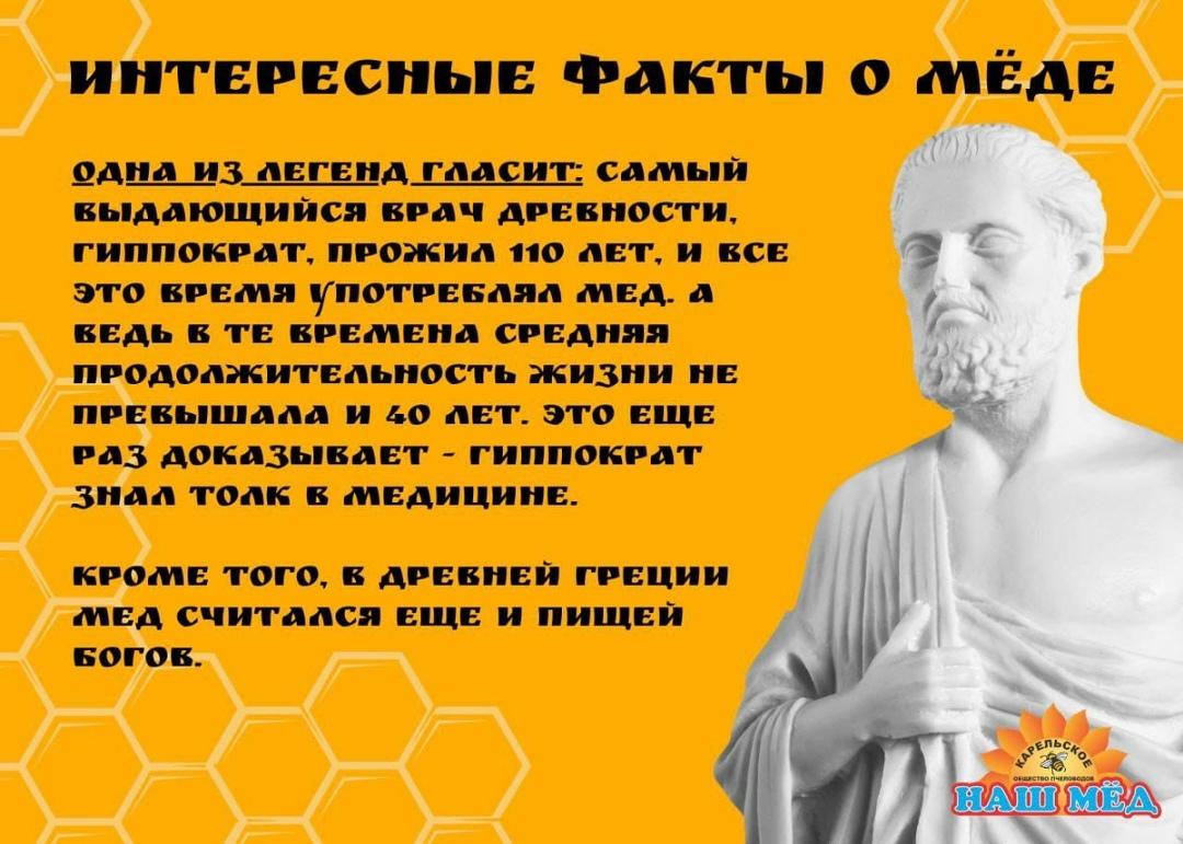 НАШ МЁД: Несколько интересных фактов о мёде... 1. Самый выдающийся врач… — ТЦ «Добрыня», Петрозаводск
