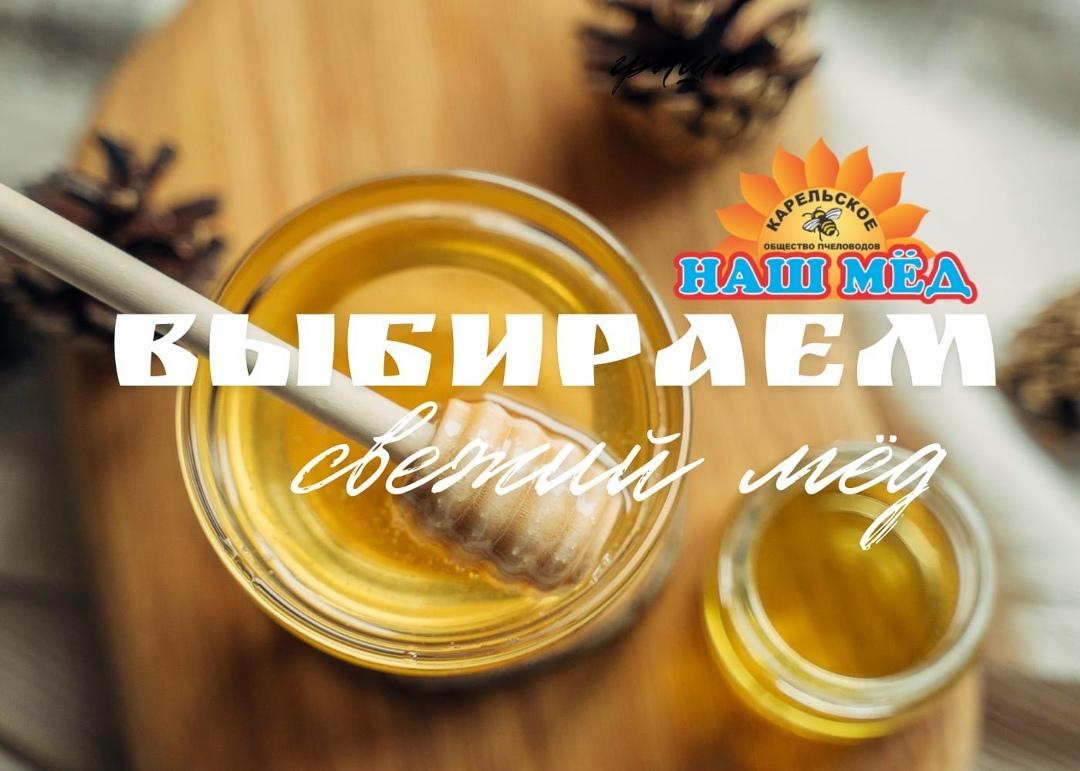 НАШ МЁД: Выбираем Свежий МЁД 🍯. Друзья, мы продолжаем радовать Вас самым… — ТЦ «Добрыня», Петрозаводск