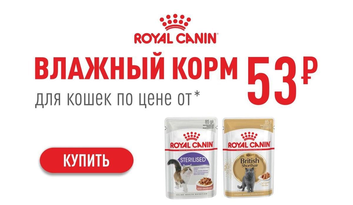 Магазин ЗооМир: Скидка на влажные корма Royal Canin для кошек и собак — ТЦ «Добрыня», Петрозаводск