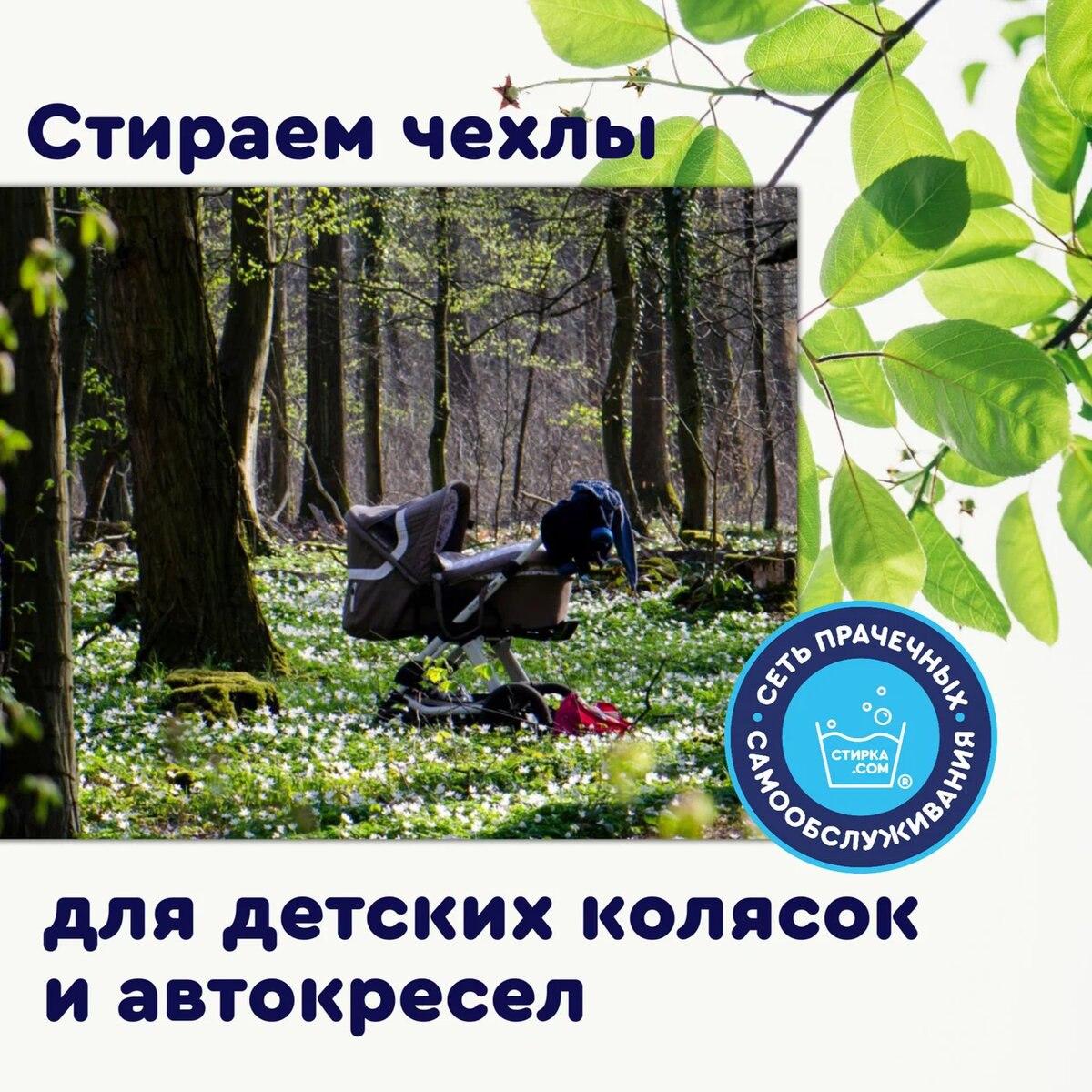 Прачечная Стирка.com: После зимы обновляется природа вокруг, она просыпается и меняется мир — ТЦ «Добрыня», Петрозаводск