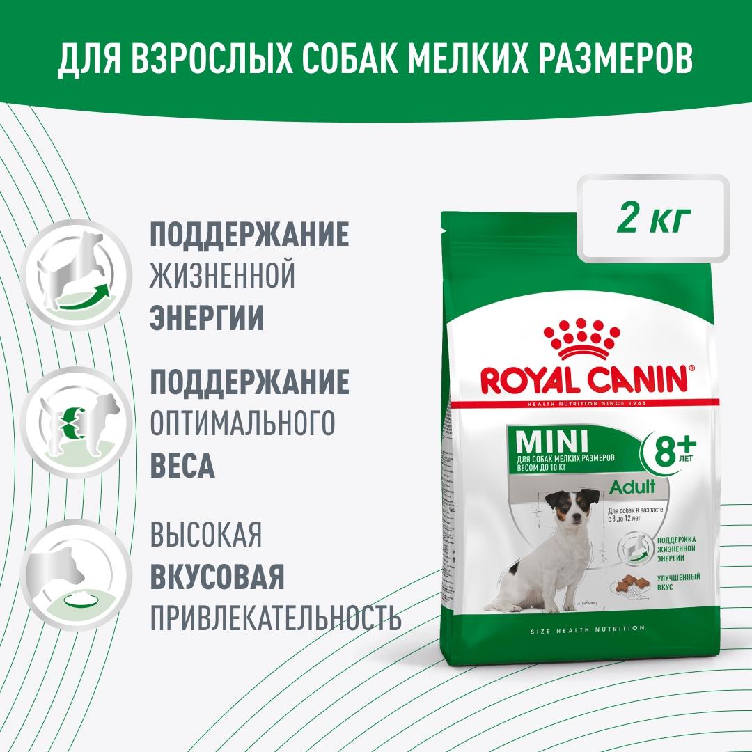 Хорошая новость! Снова в продаже во всех магазинах ЗооМир Корм сухой полнорационный для собак… — ТЦ «Добрыня», Петрозаводск