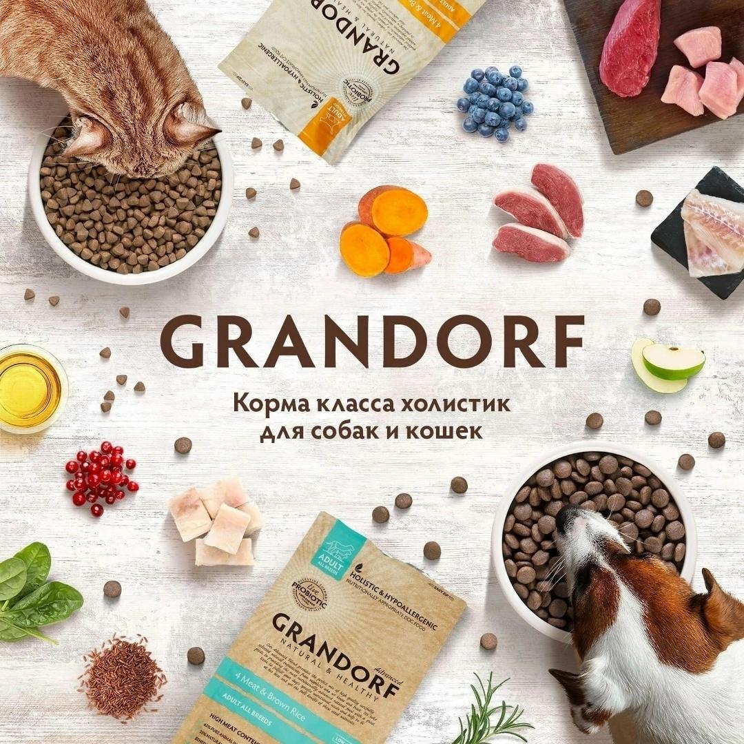 Сухой и консервированный корм Grandorf класса холистик для кошек и собак во всех магазинах… — ТЦ «Добрыня», Петрозаводск