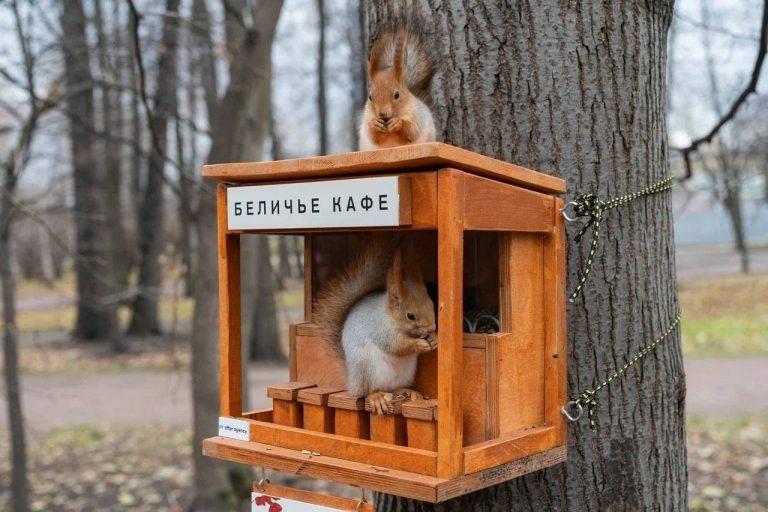 У нас конкурс "Друзья леса"! 🐿. Дорогие друзья, с радостью сообщаем о старте конкурса "Друзья… — ТЦ «Добрыня», Петрозаводск