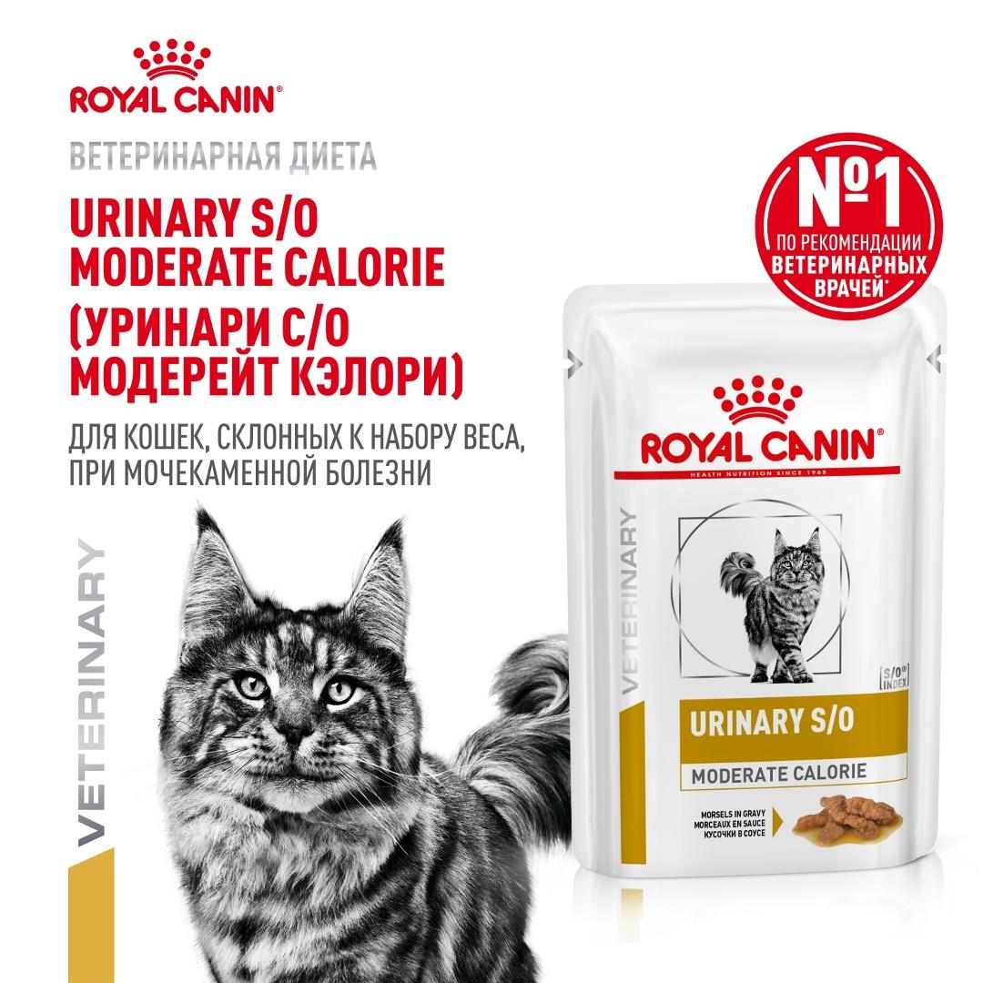 Уже во всех магазинах ЗооМир! Влажный корм Royal Canin® URINARY S/O Moderate Calorie (УРИНАРИ… — ТЦ «Добрыня», Петрозаводск