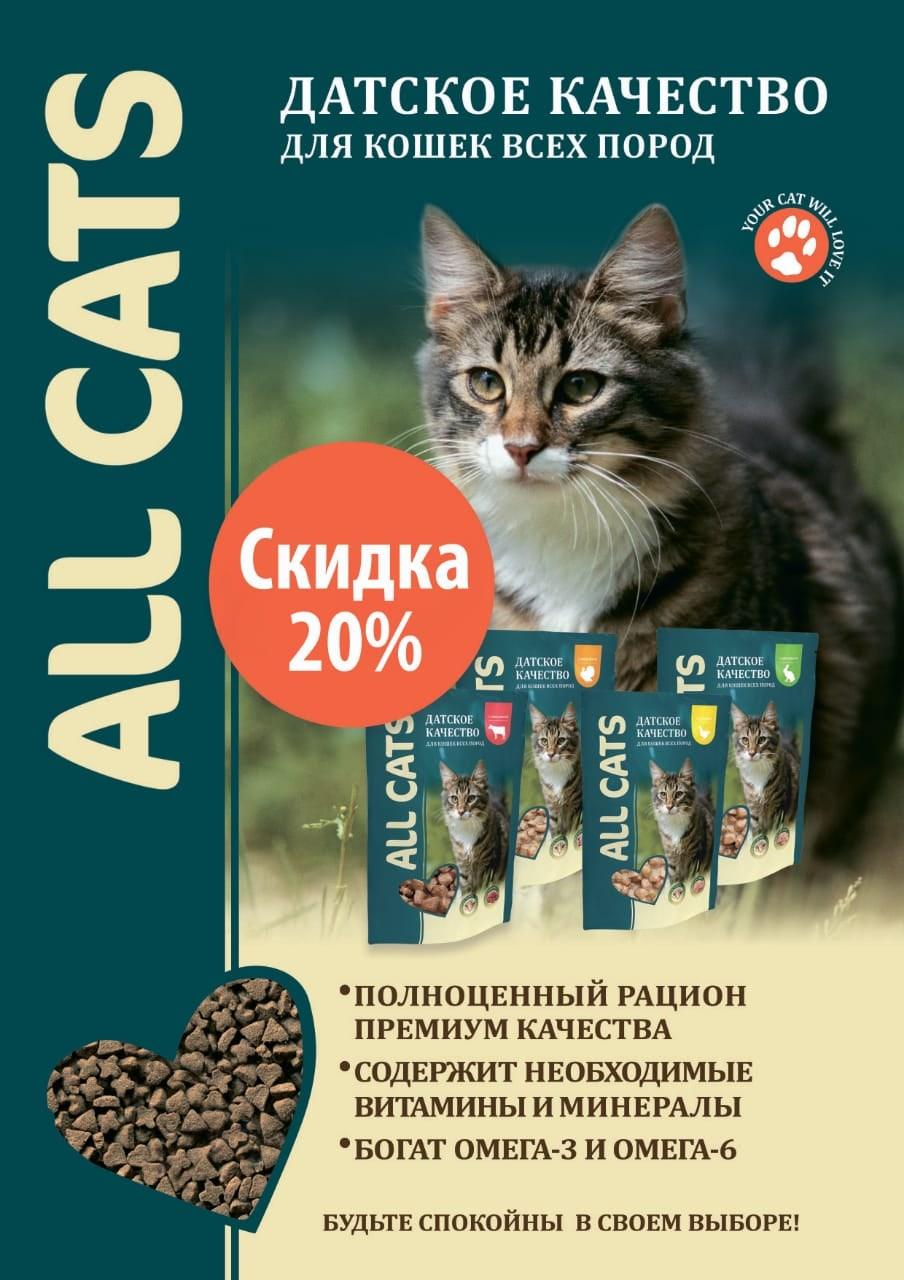 С 1 июня по 31 июля во всех магазинах ЗооМир скидка 20% на все паучи для кошек All Cats — ТЦ «Добрыня», Петрозаводск